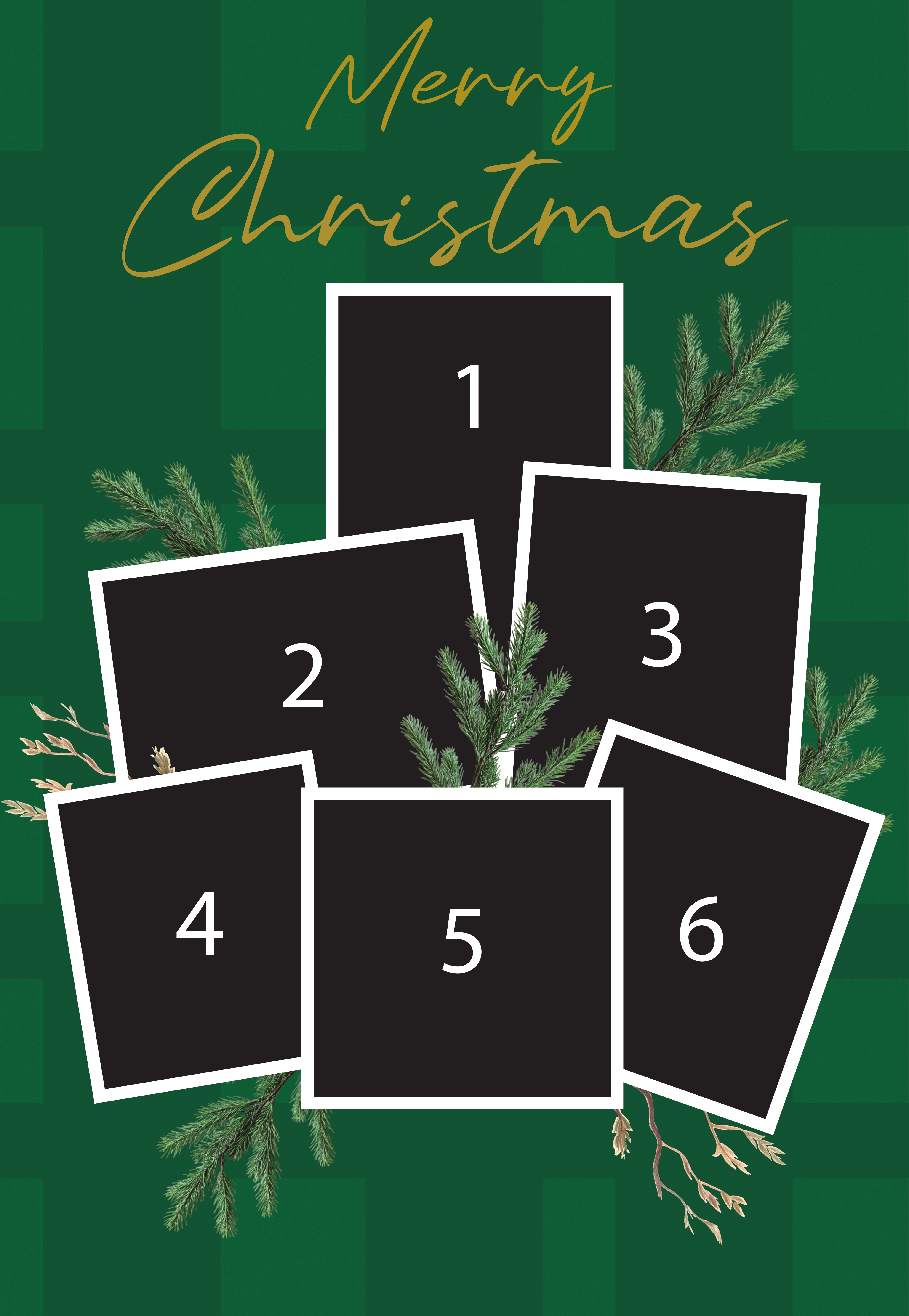 Merry Christmas Card